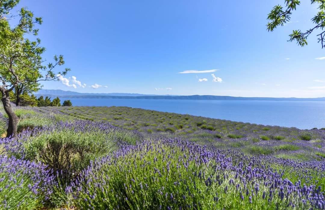Sea View Ela Apartments Podgora Εξωτερικό φωτογραφία