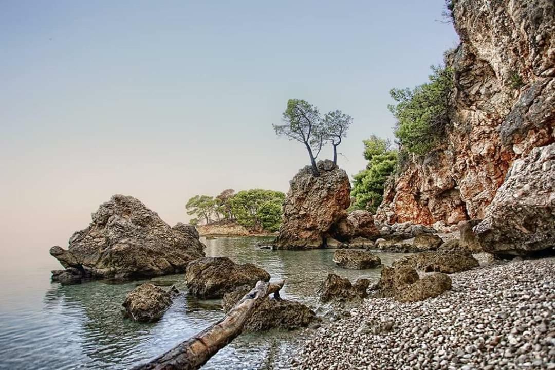 Sea View Ela Apartments Podgora Εξωτερικό φωτογραφία
